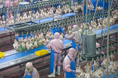 乳山預(yù)制菜企業(yè)實現(xiàn)年銷售額近10億元，飼料原料銷售雙輪驅(qū)動