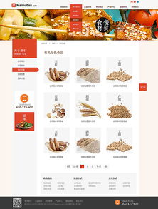 融合品牌與體驗(yàn) 食品企業(yè)網(wǎng)站設(shè)計(jì)的核心要素與趨勢(shì)